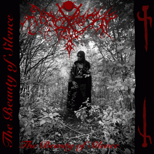 Witches Forest : The Beauty of Silence Witches Forest : The Beauty of Silence